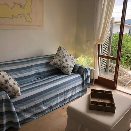 Un Salto Nel Blu CAMPO NELL'ELBA