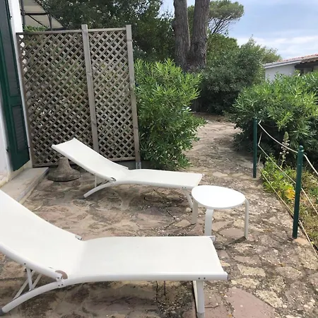 Un Salto Nel Blu CAMPO NELL'ELBA